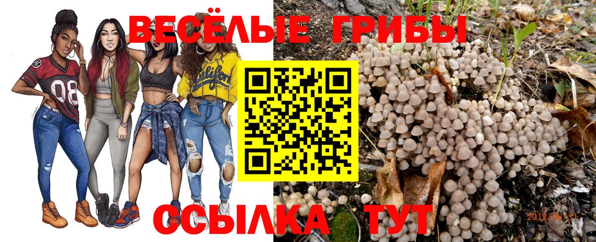 Псилоцибиновые грибы ЛСД Белая Калитва